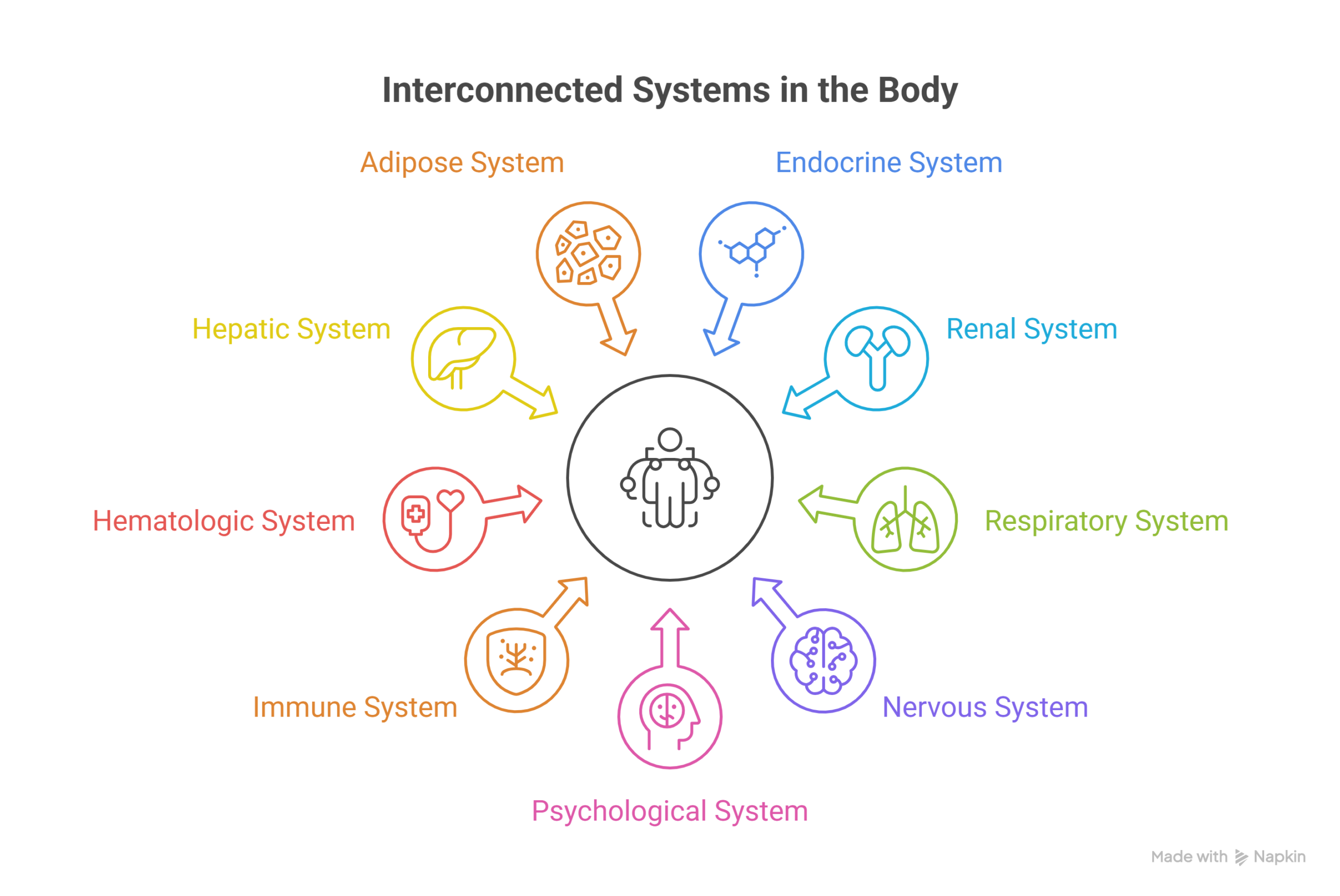 CAD Interrelationships Among Body Systems