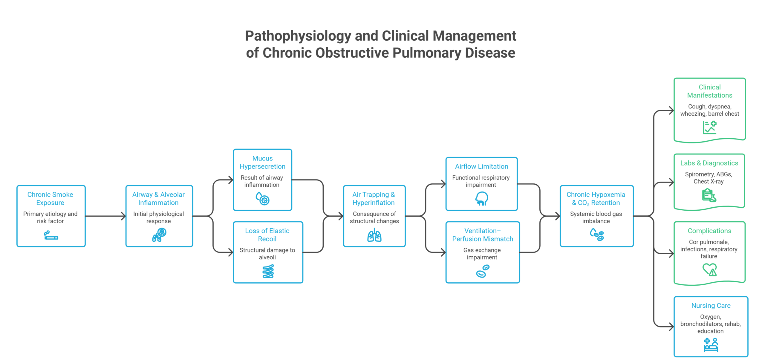 Chronic Obstructive Pulmonary Disease (COPD) Pulmonary Concept Map Template